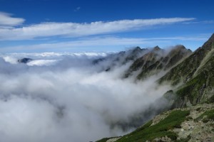 IMG_5728
