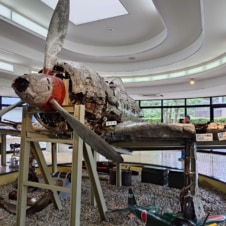 鹿児島 特攻記念館 鹿児島 特攻記念館